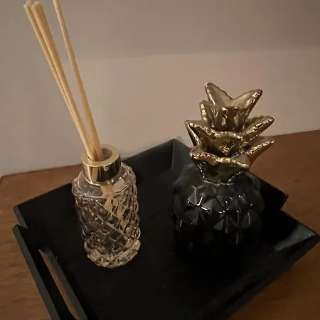 Le Havre De Gentilly Laxou Zenith Apartment *