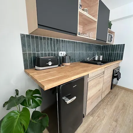 Appartement Jardin Parking -havre De Gentilly- Zenith Nancy